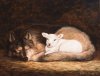 wolf-and-lamb.jpg